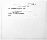 Image Associated With the Occurrence
